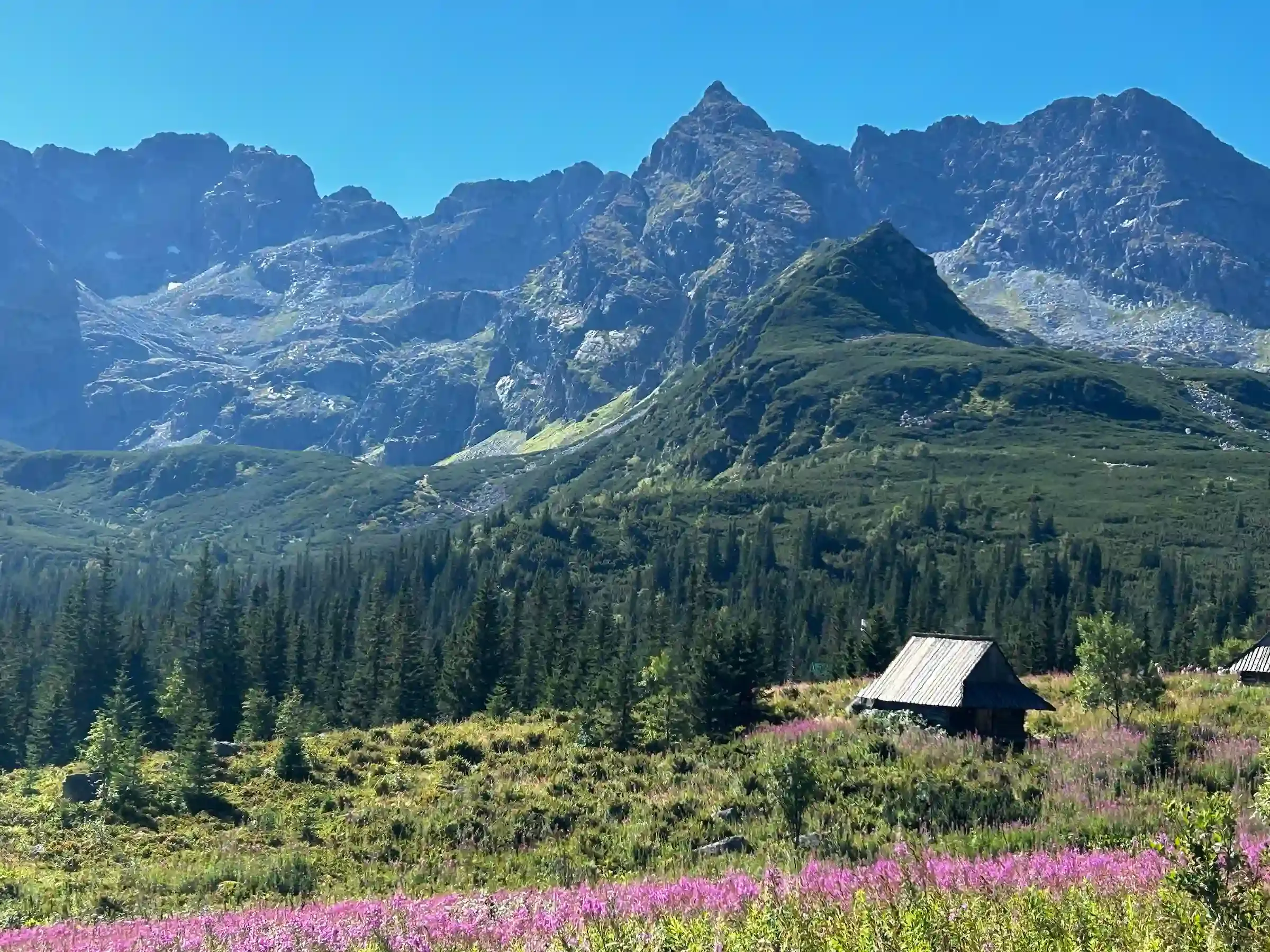 Kościelec - polski Matterhorn z Hali Gąsienicowej